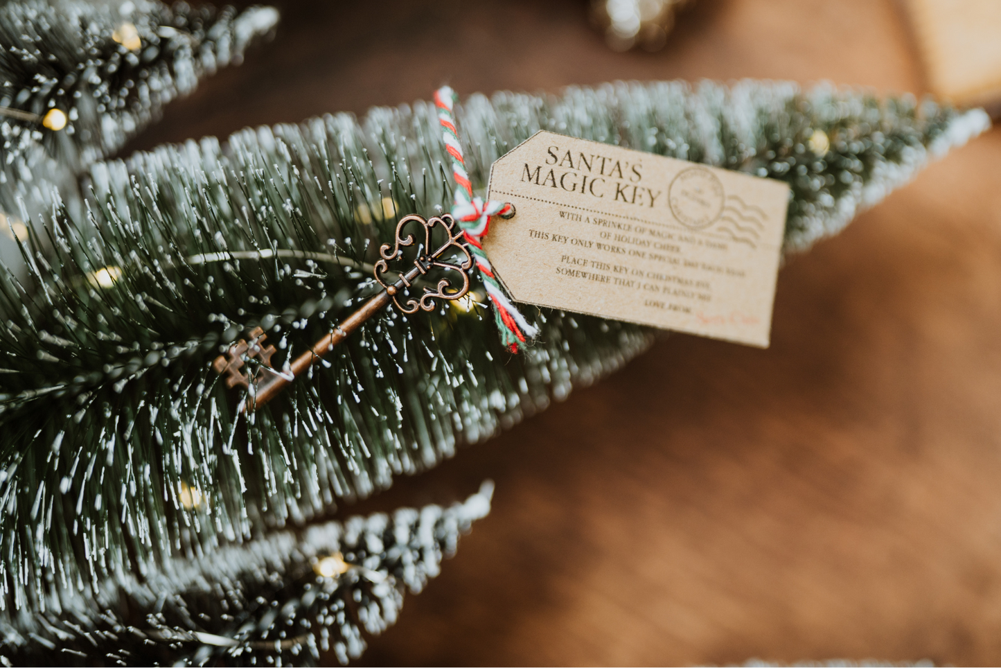 Christmas Eve S'mores Toasting Kit