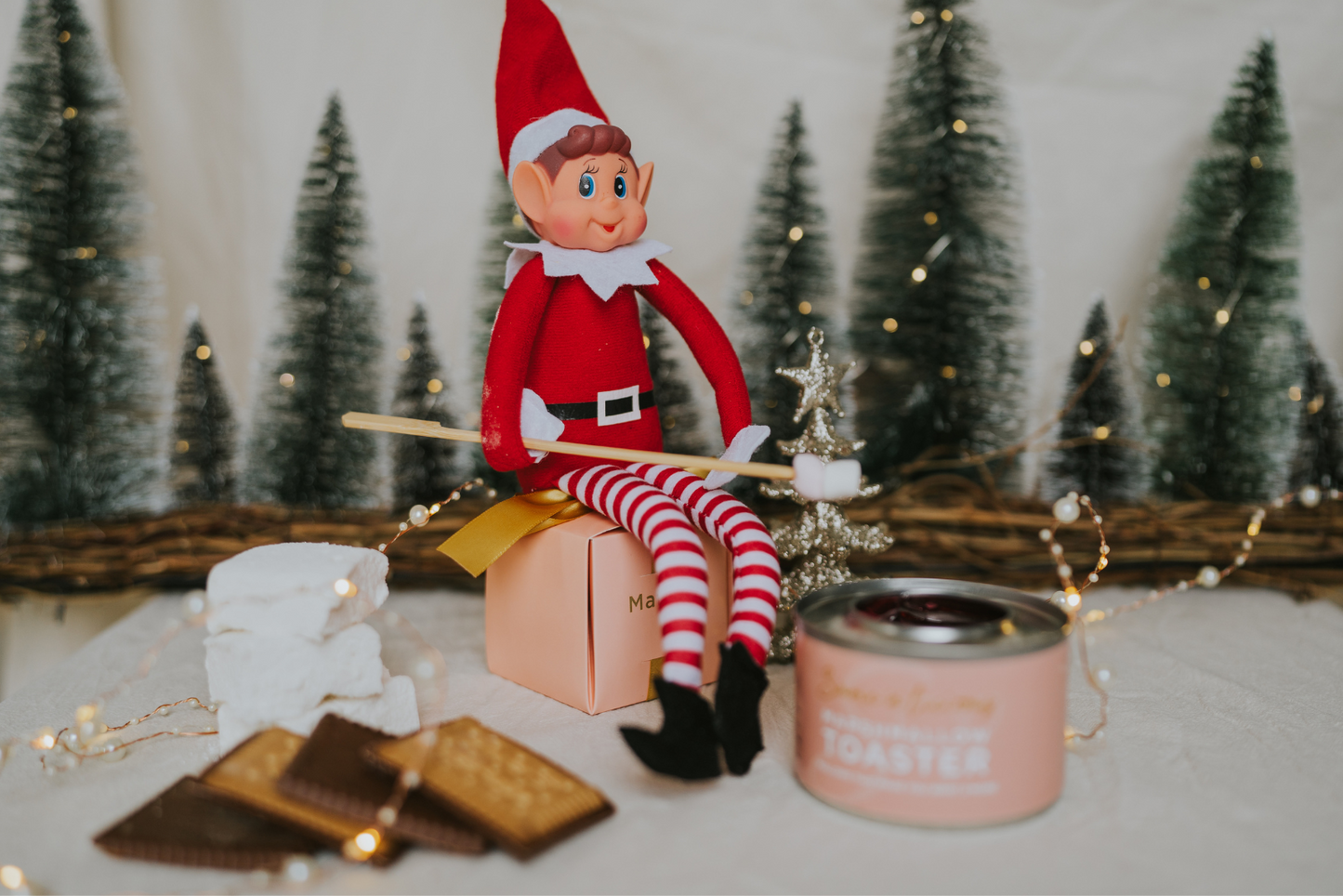 Elf on the Shelf Guide Digital Download